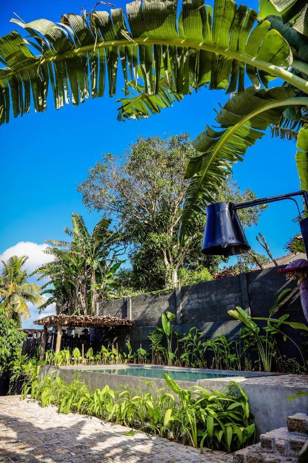 Albergue Banana Bunks Kandy Exterior foto