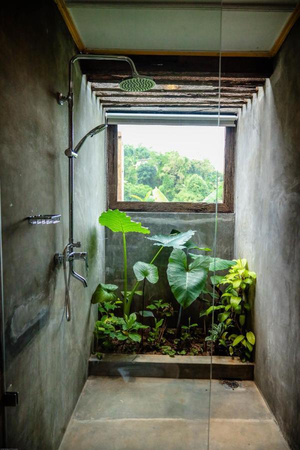 Albergue Banana Bunks Kandy Exterior foto